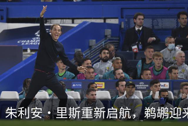 朱利安·里斯重新启航，鹈鹕迎来新内线护卫